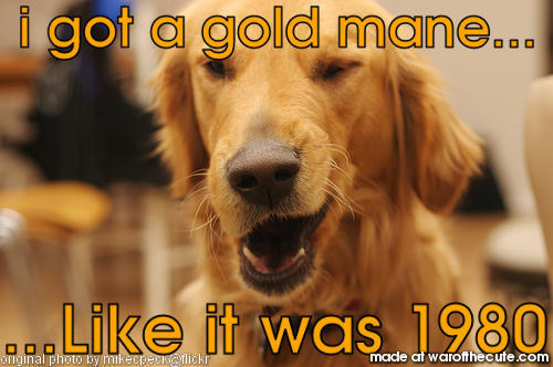 Just call me Dog Nasty