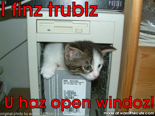 Cat1 IT Services