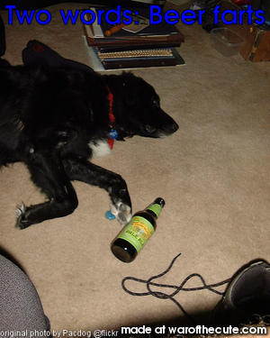 Beer fart