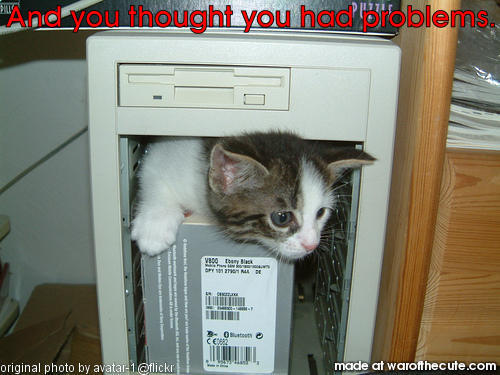 And you thought you had problems.