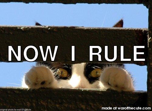 NOW I RULE