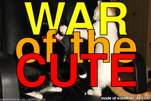 WAR of the CUTE