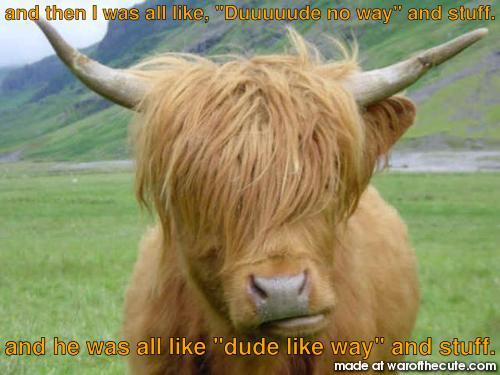 Bullsurfer
