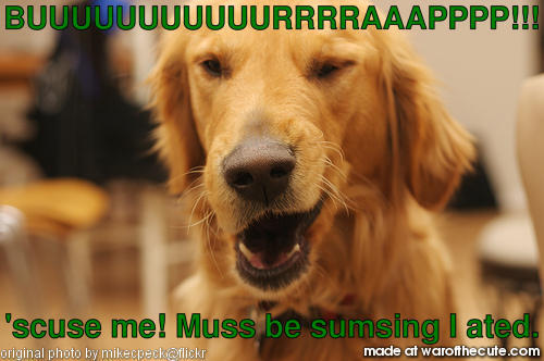 Doggie Burp