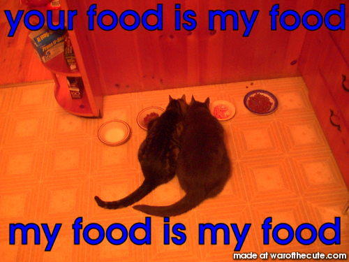 cat logic