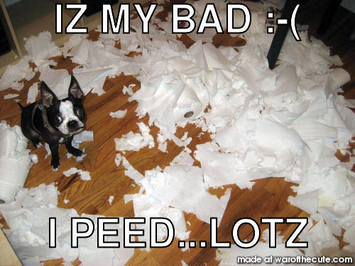 IZ MY BAD :-(  I PEED...LOTZ