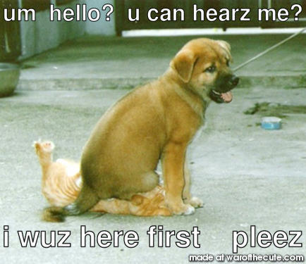 um  hello?  u can hearz me?