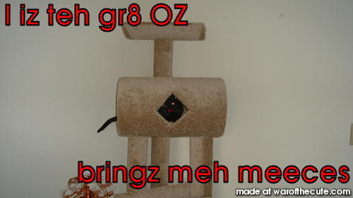 OZ