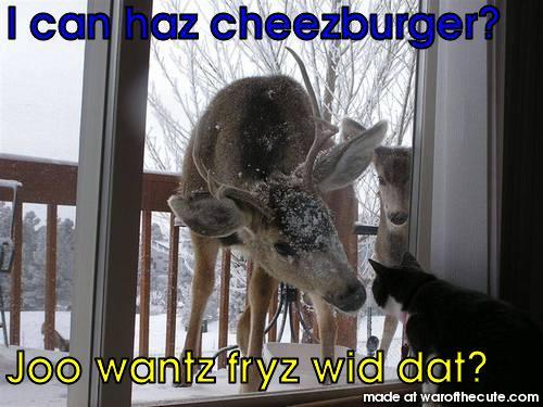 Can I take your order?