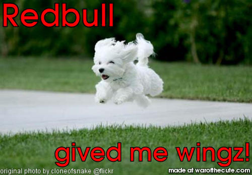 Redbull Doggie