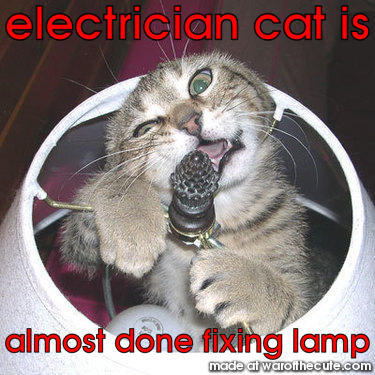 electrician cat