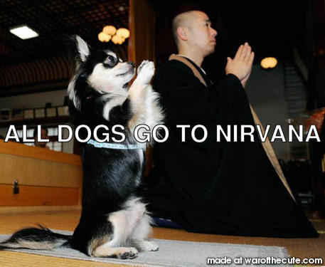 ALL DOGS GO TO NIRVANA