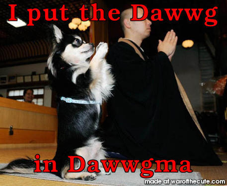 Dawwgma