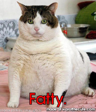 Fatty.