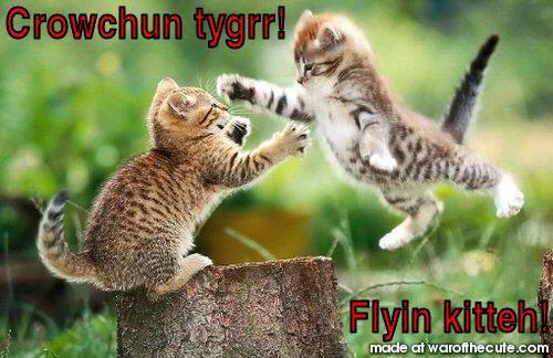 Crowchun tygrr flyin kitteh