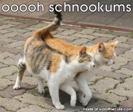 ooooh schnookums