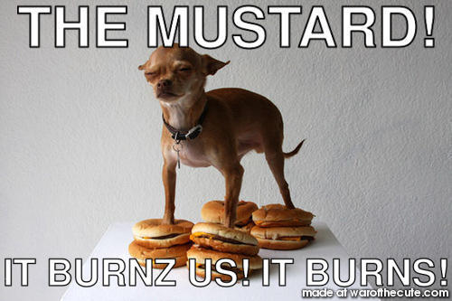 THE MUSTARD!