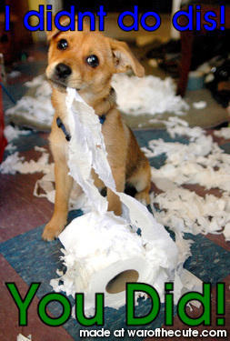 puppy ripping up toilet paper (by erin)