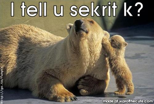 polar bear sekrit