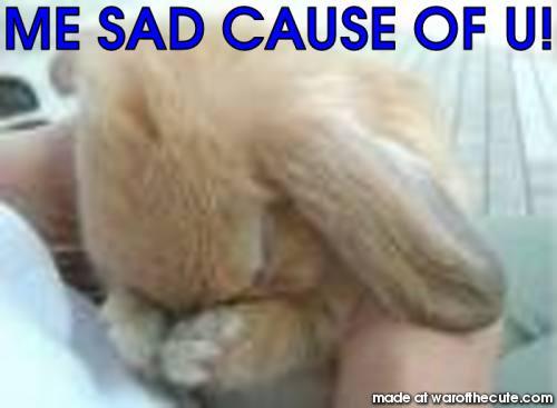 sad bunny