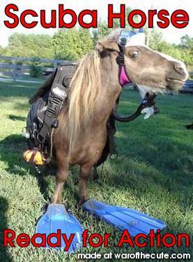 Scuba Horse