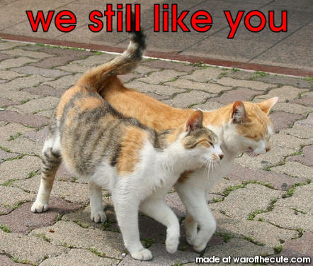 we still like you