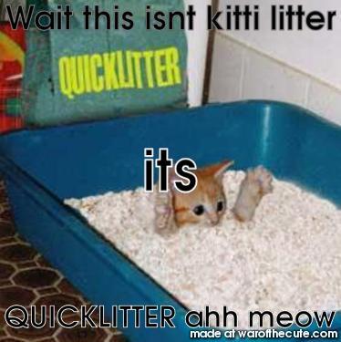 quicklitter