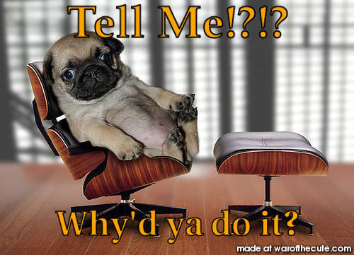 therapug!