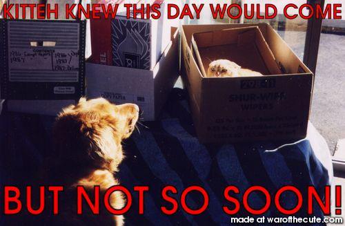 DOOMS DAY