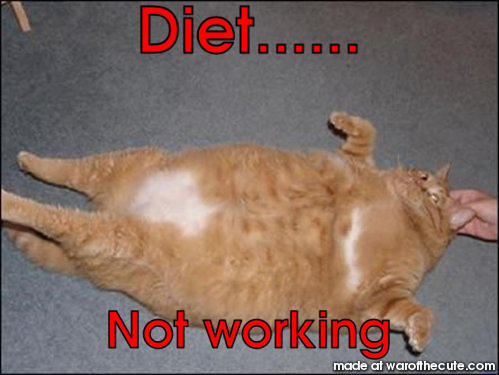 Diet......