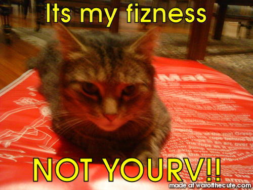 Lazi Cat