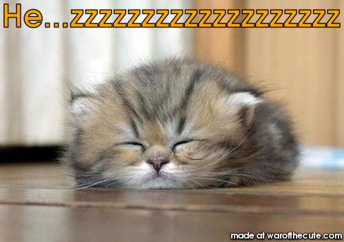 he...zzzzzzzzzz
