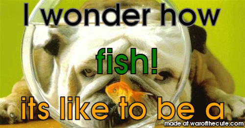i wanna be a fish
