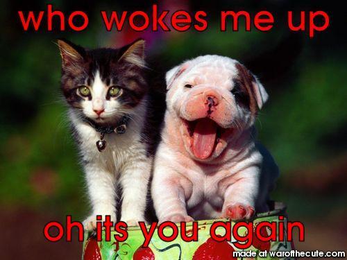 u woke me up