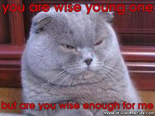 yoda