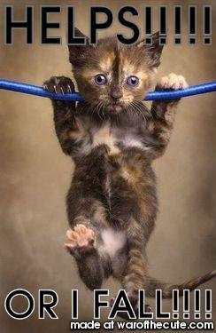 HELPS!!!!!
