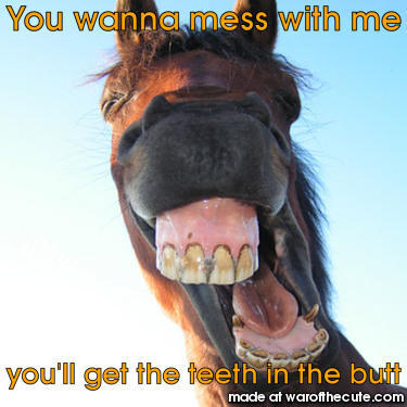The mad horse