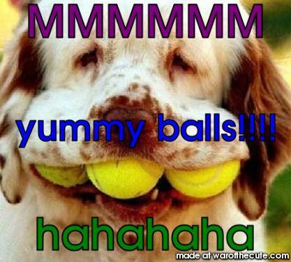 Yumm
