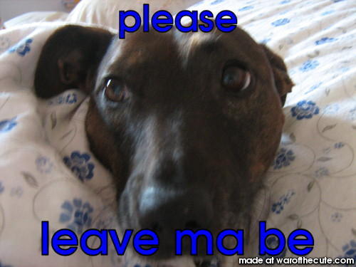 please