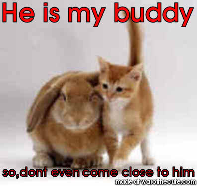 He is my buddy