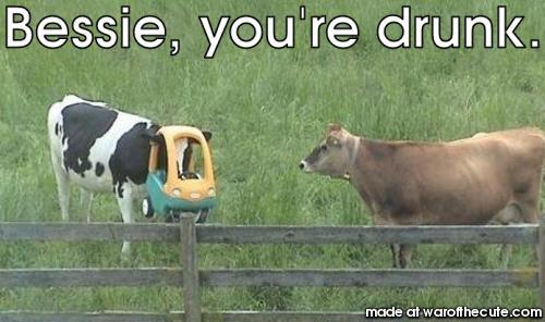 Bessie, you're drunk.