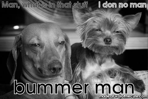 Bummer Man