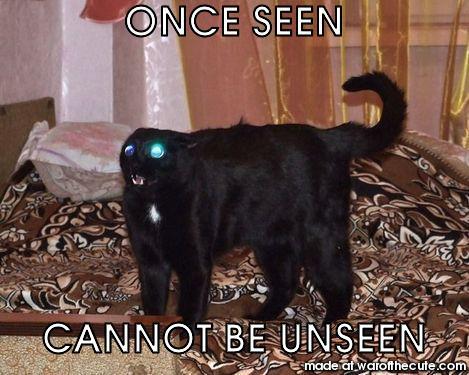 ONCE SEEN