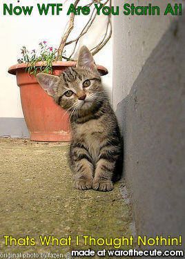 What Are U Starin At!