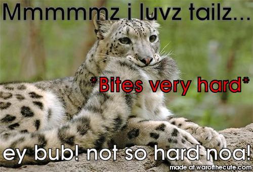 Mmmmmzzz tailz ish yummeh