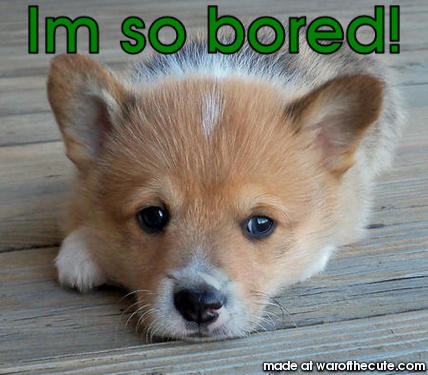 Bored!