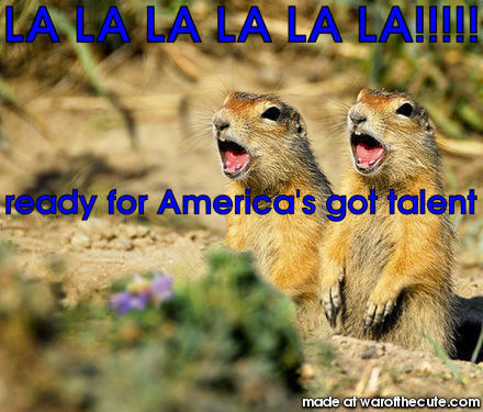 prairie dog duet