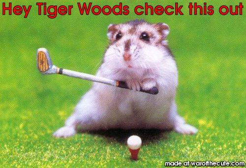 Hey Tiger Woods check this out