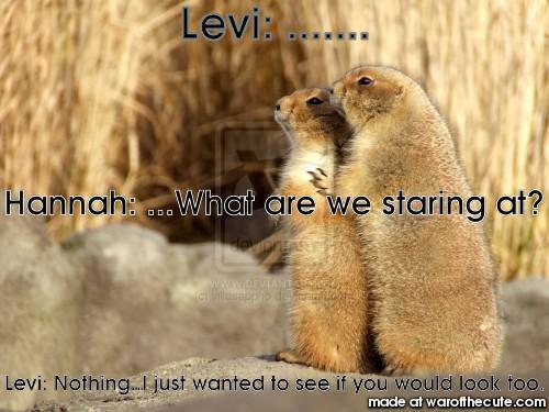 Levi: .......