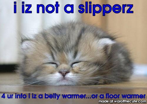 iz not slipperz